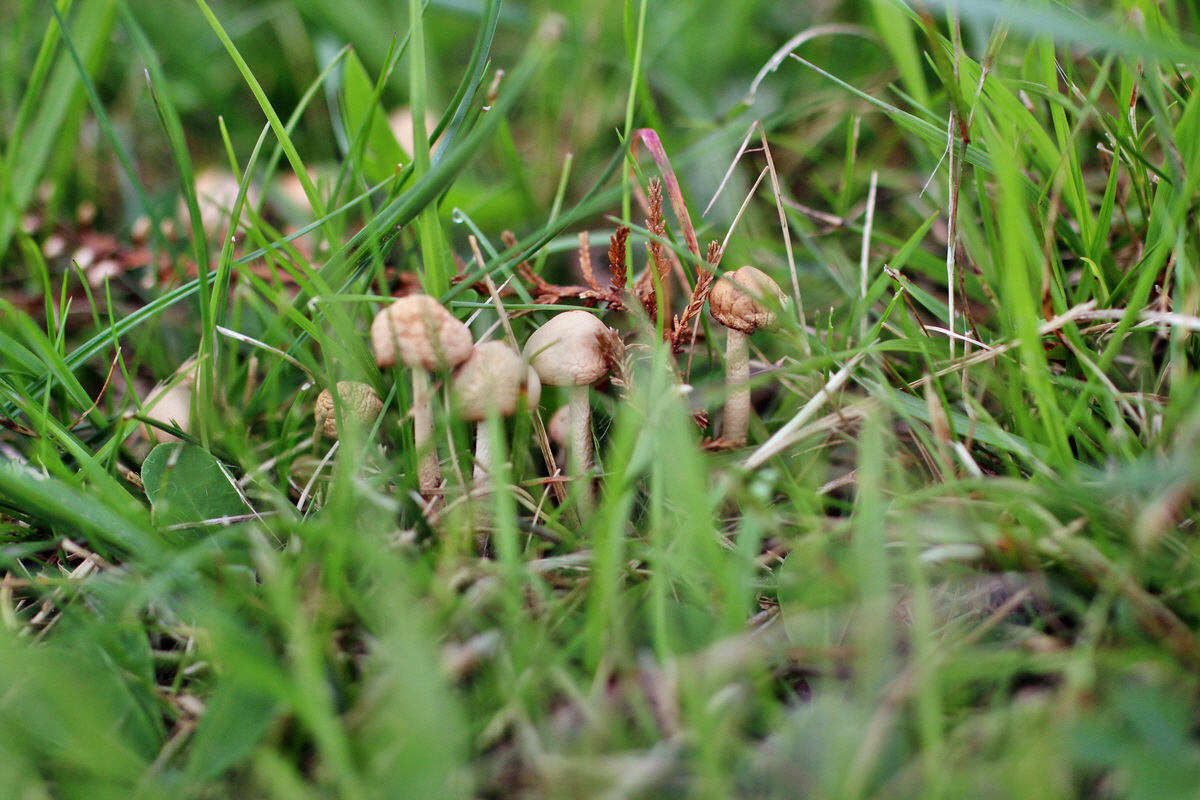 2014_08_15_00049778p_Bildgr��e �ndern