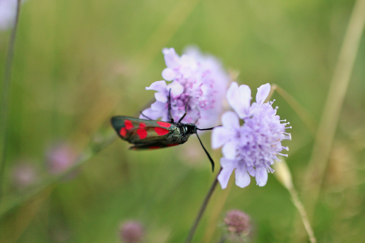 2014_08_15_00049804p_Bildgr��e �ndern