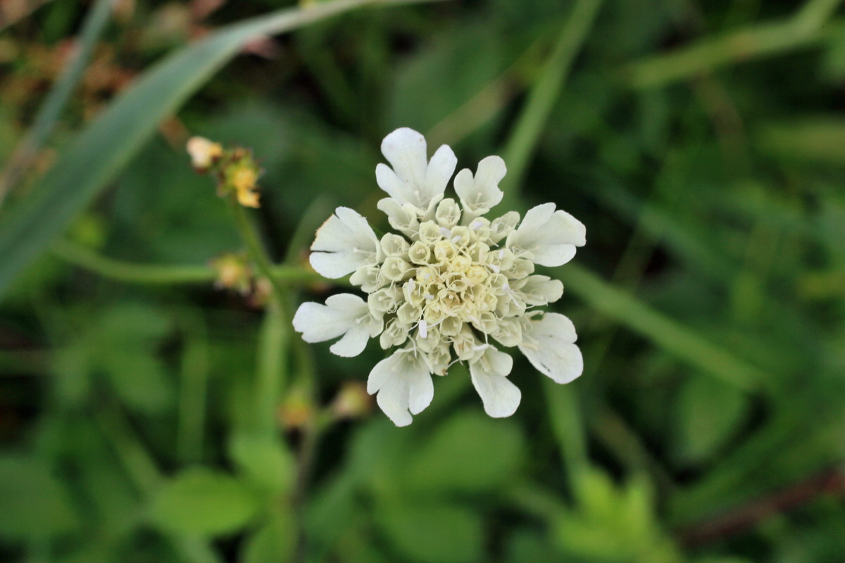 2014_08_15_00049826p_Bildgr��e �ndern