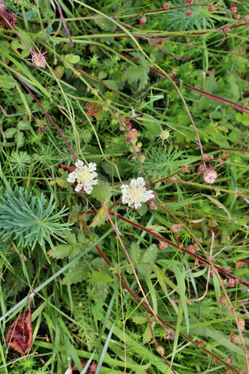 2014_08_15_00049828p_Bildgr��e �ndern