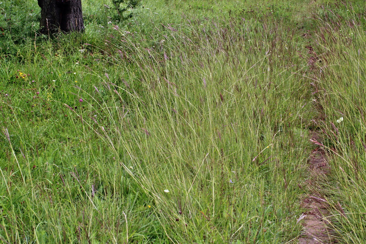 2014_08_15_00049832p_Bildgr��e �ndern