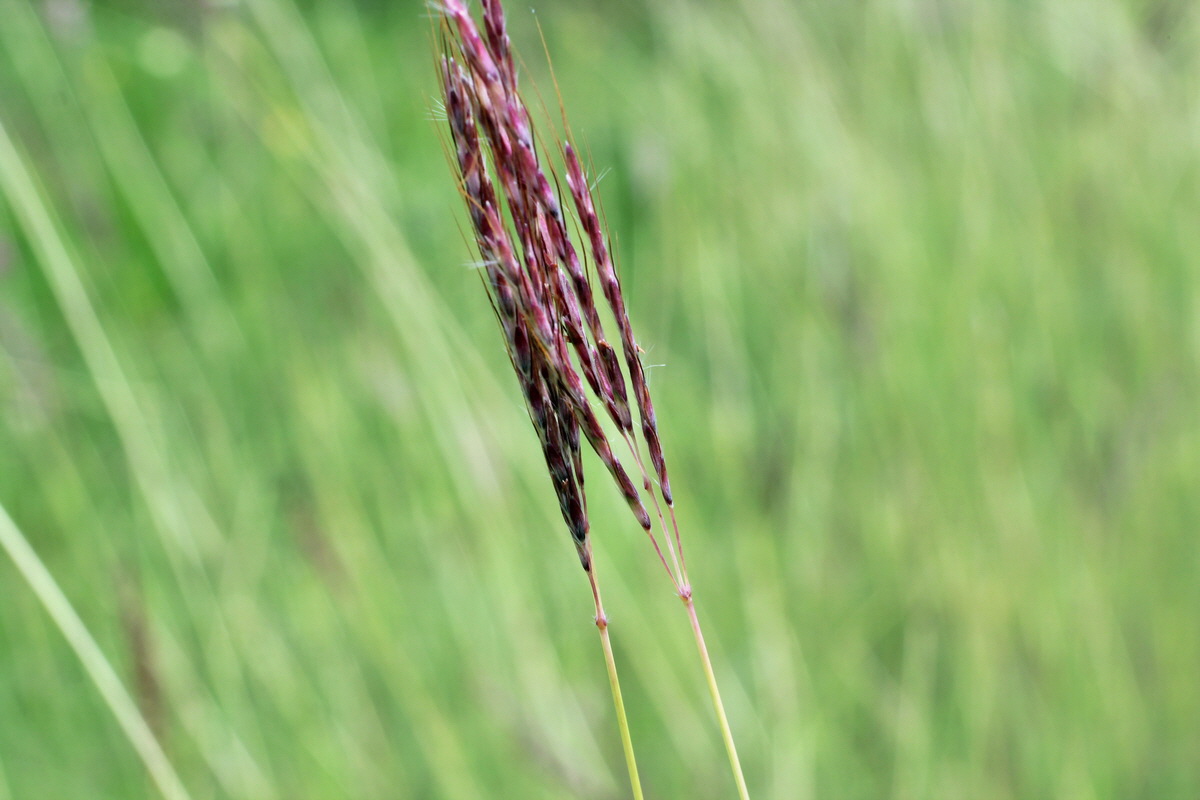 2014_08_15_00049840p_Bildgr��e �ndern