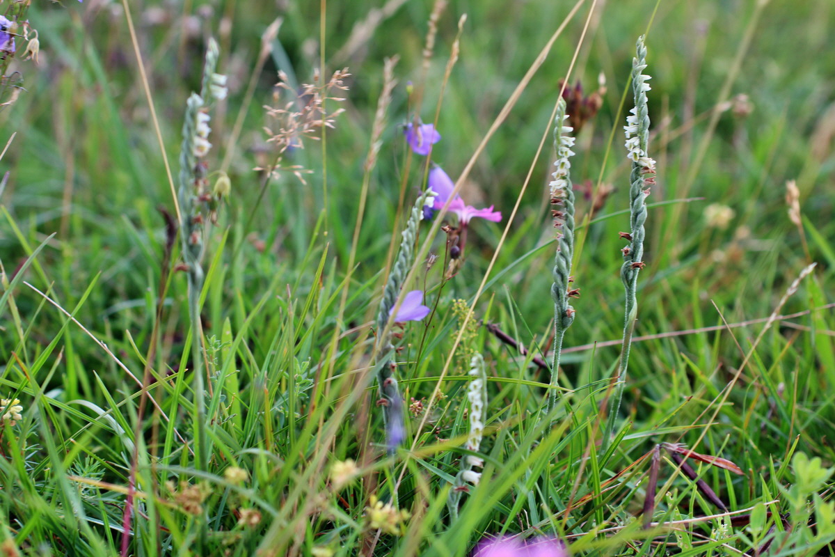 2014_08_18_00049848p_Bildgr��e �ndern