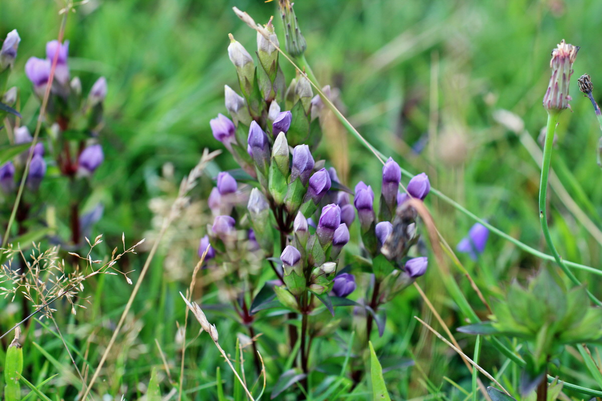 2014_08_18_00049850p_Bildgr��e �ndern