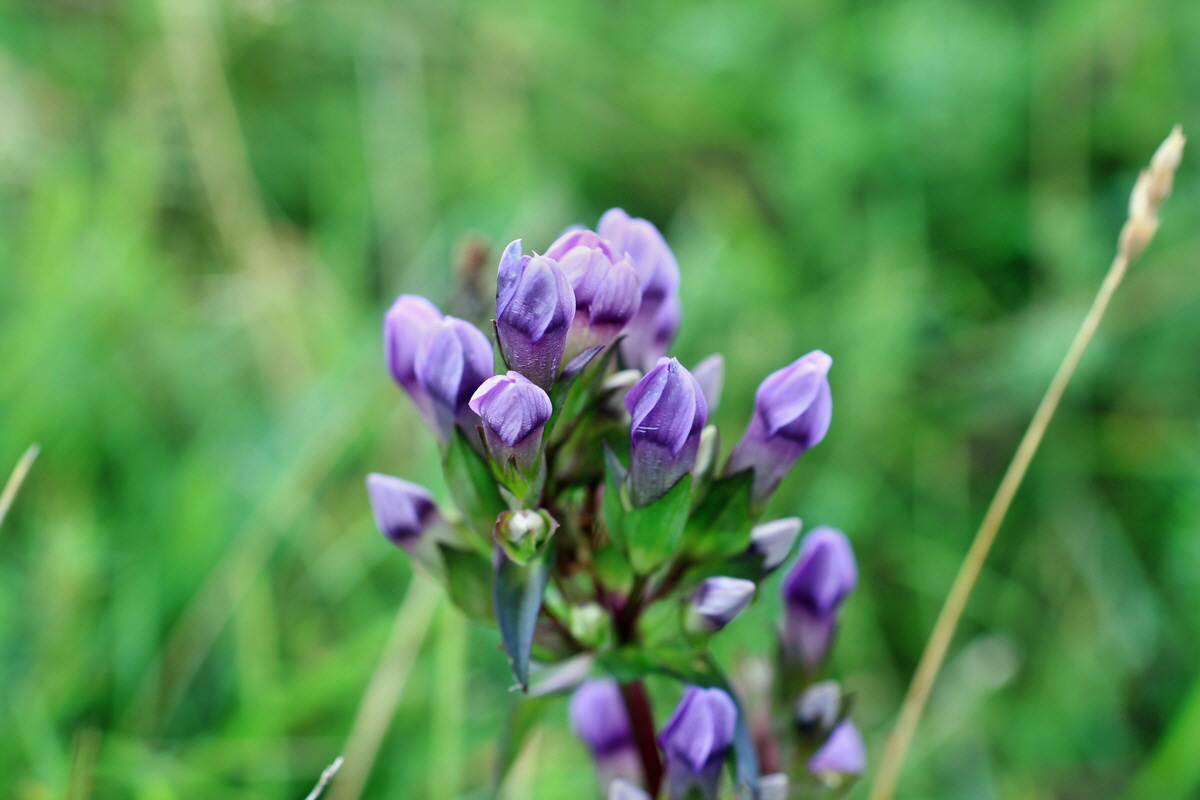 2014_08_18_00049854p_Bildgr��e �ndern