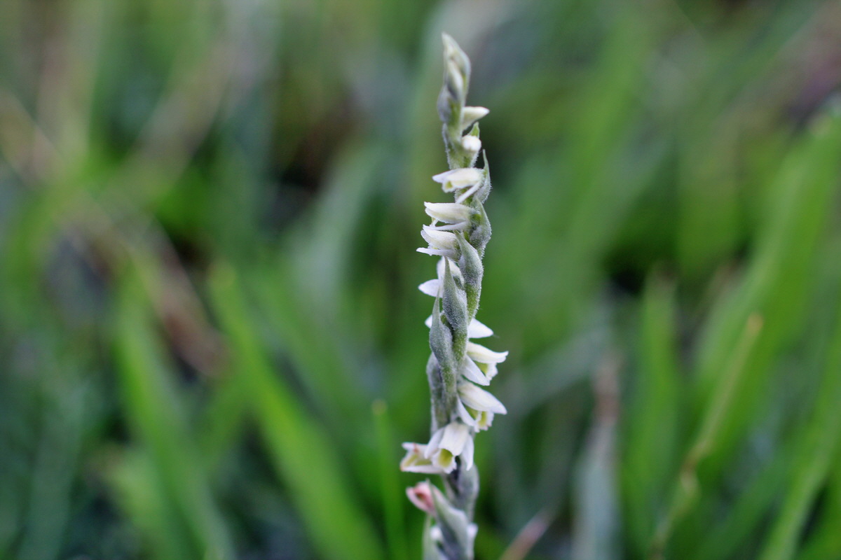 2014_08_18_00049859p_Bildgr��e �ndern