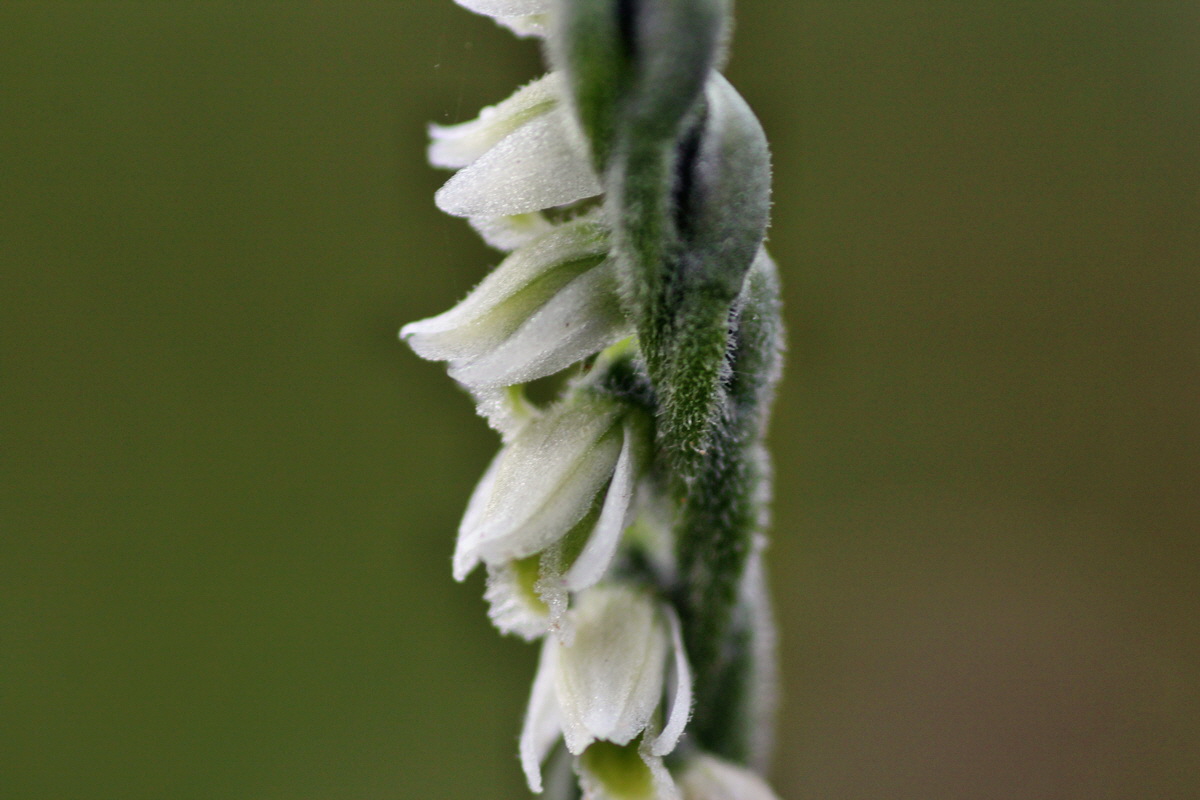 2014_08_18_00049861p_Bildgr��e �ndern