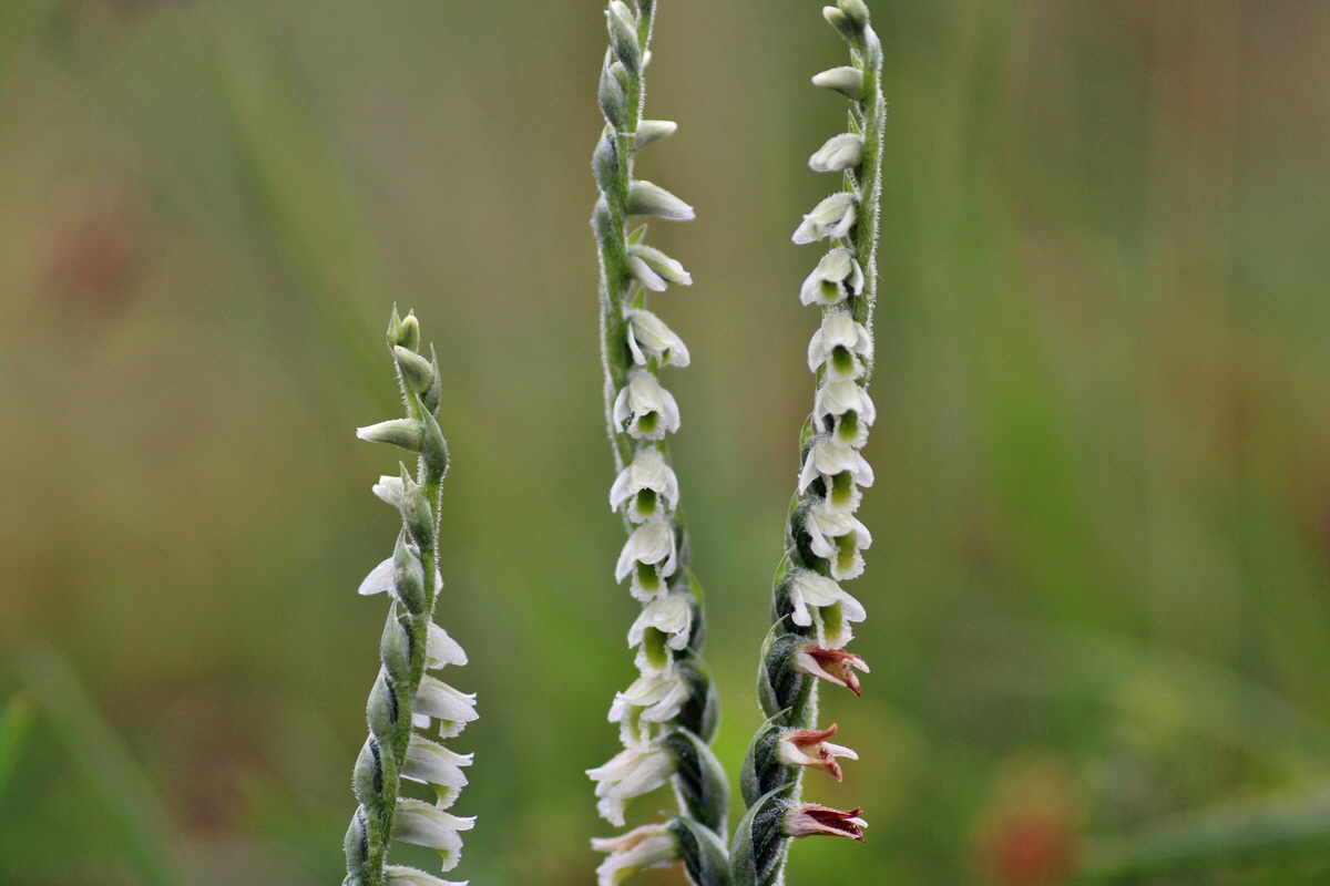 2014_08_18_00049866p_Bildgr��e �ndern