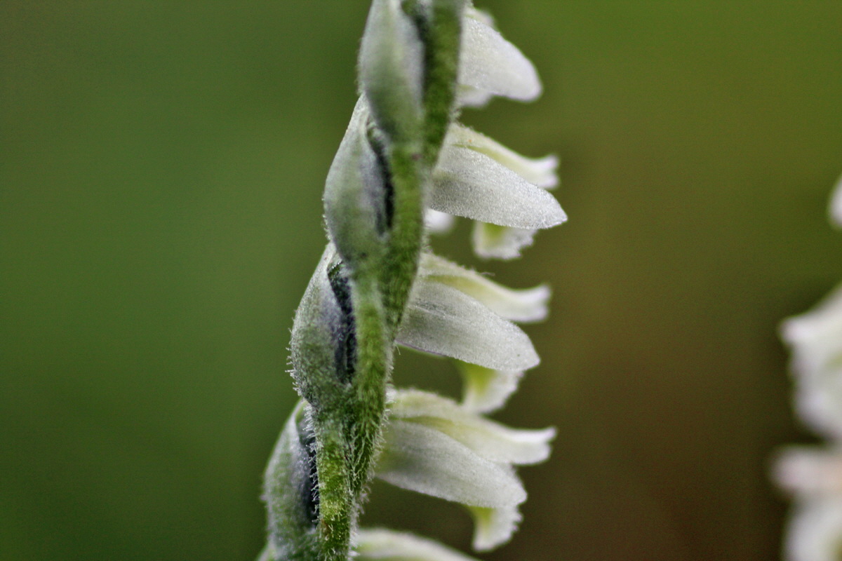 2014_08_18_00049869p_Bildgr��e �ndern