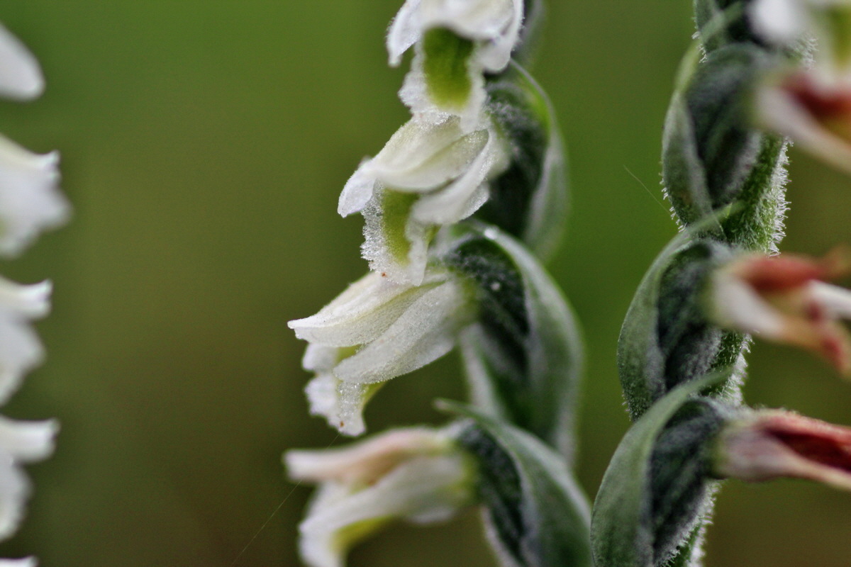 2014_08_18_00049871p_Bildgr��e �ndern