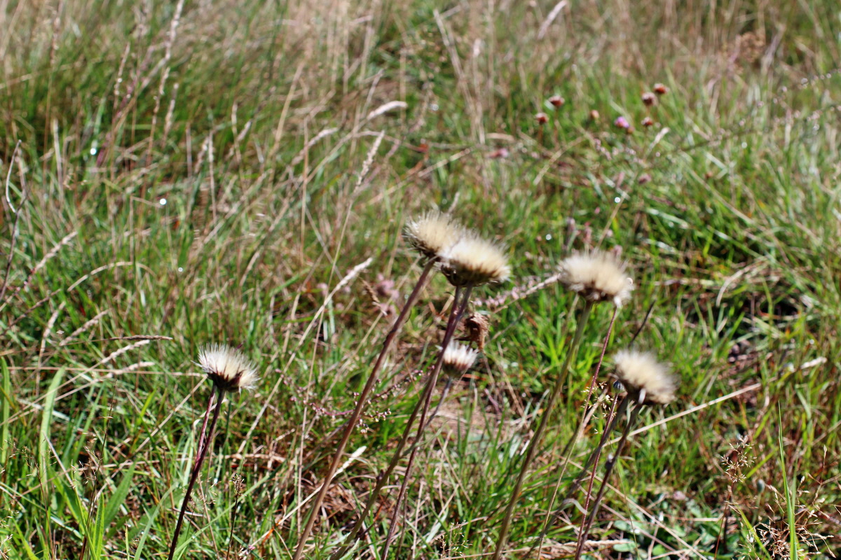 2014_08_18_00049886p_Bildgr��e �ndern