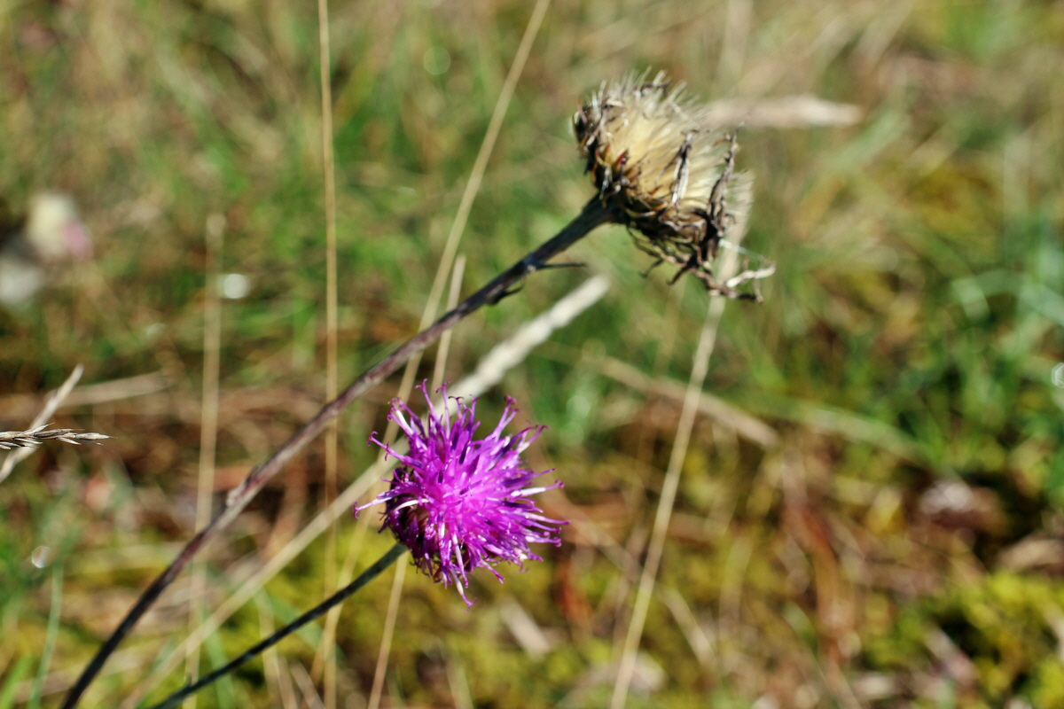 2014_08_18_00049891p_Bildgr��e �ndern