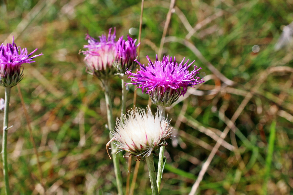 2014_08_18_00049894p_Bildgr��e �ndern