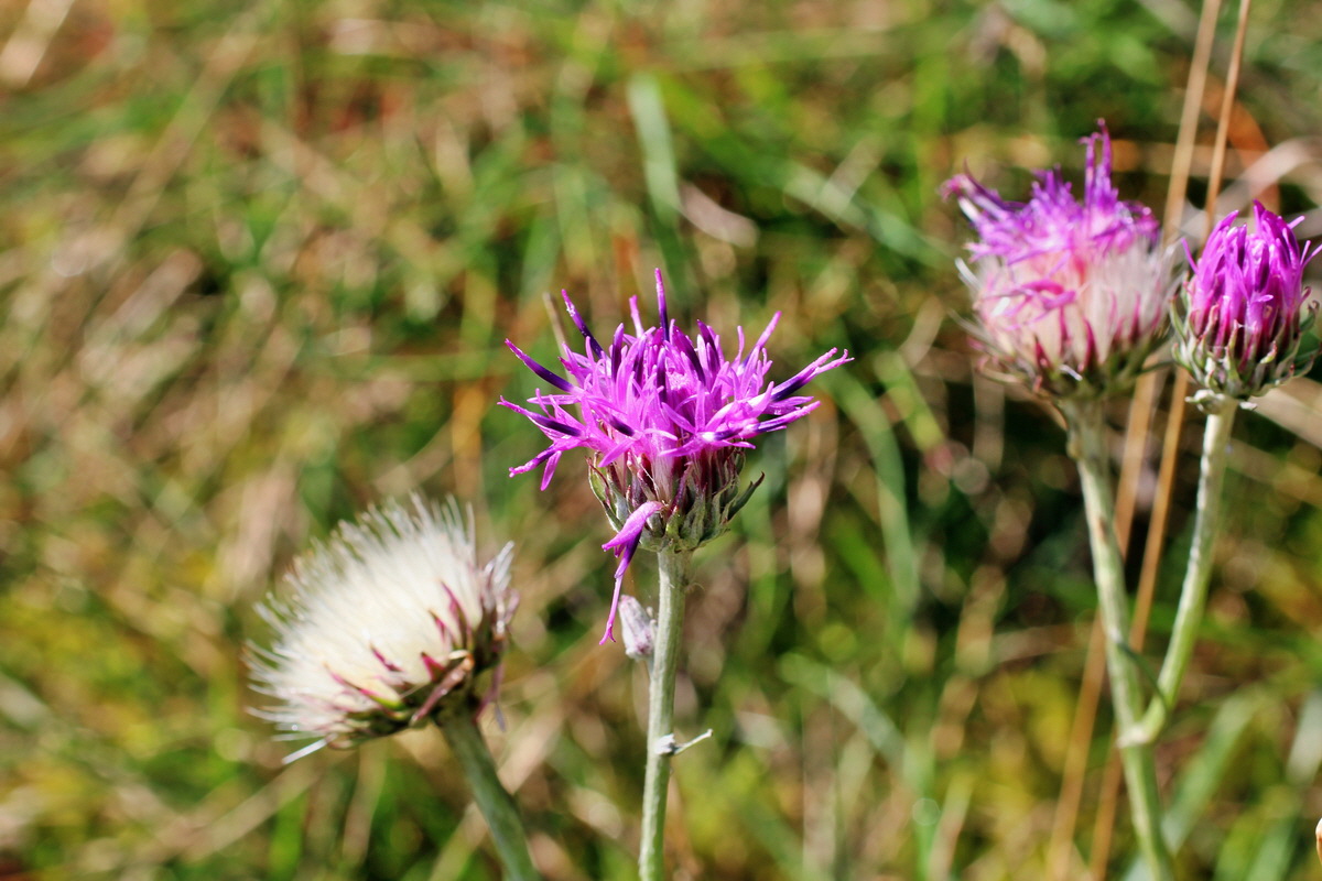 2014_08_18_00049899p_Bildgr��e �ndern