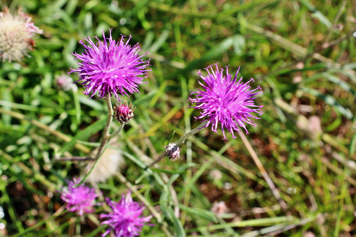 2014_08_18_00049918p_Bildgr��e �ndern