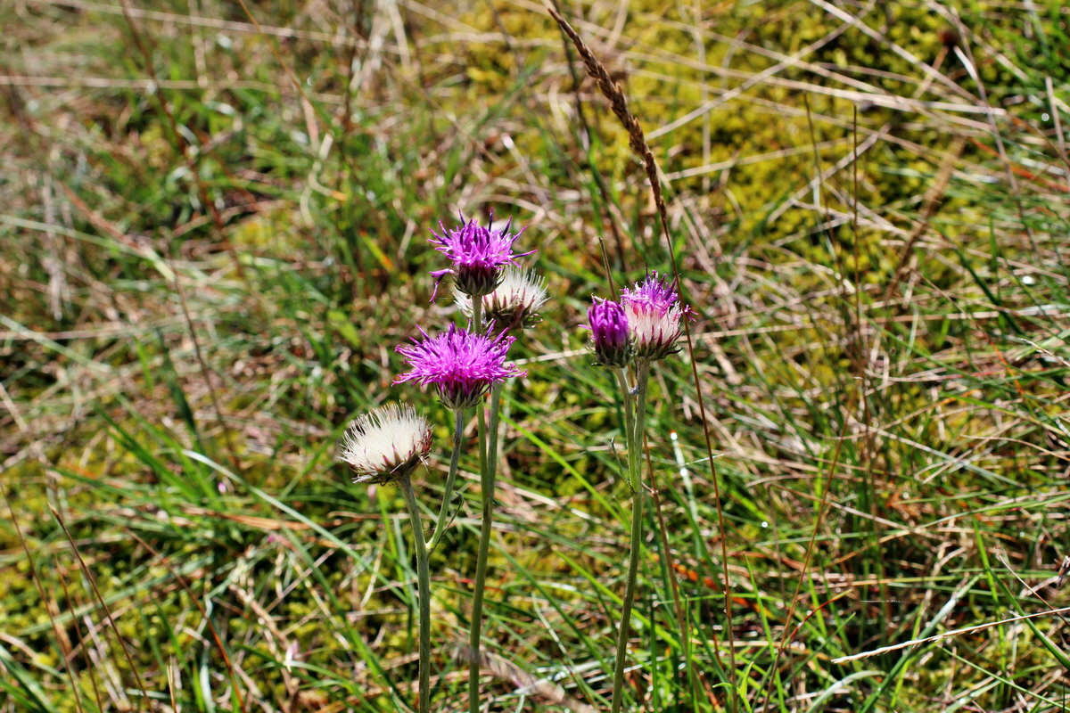 2014_08_18_00049930p_Bildgr��e �ndern