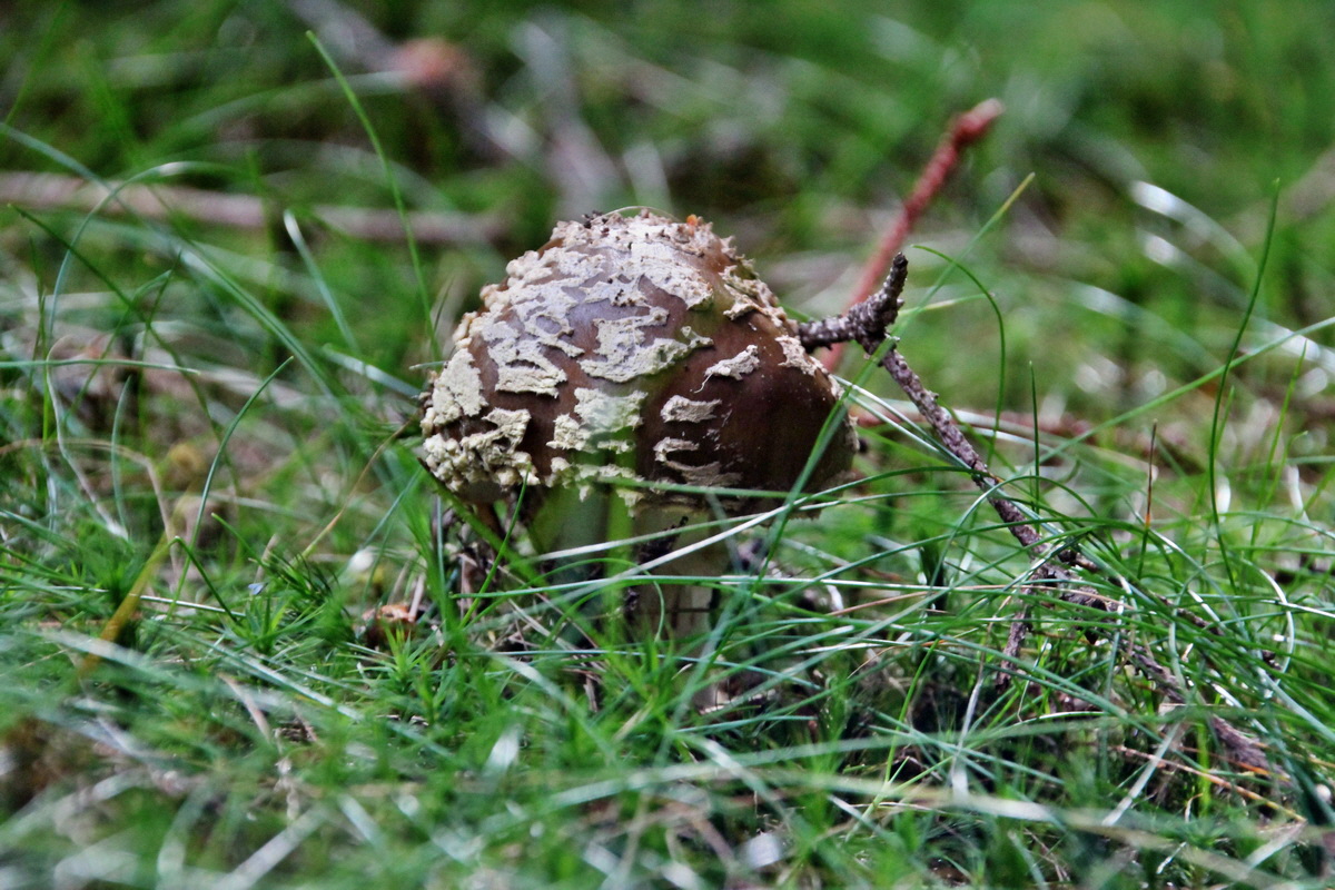 2014_08_19_00049934p_Bildgr��e �ndern