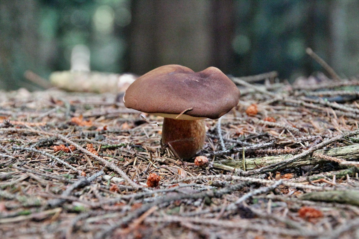 2014_08_19_00049939p_Bildgr��e �ndern