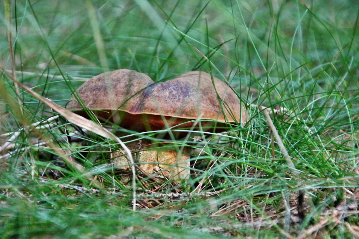 2014_08_19_00049942p_Bildgr��e �ndern