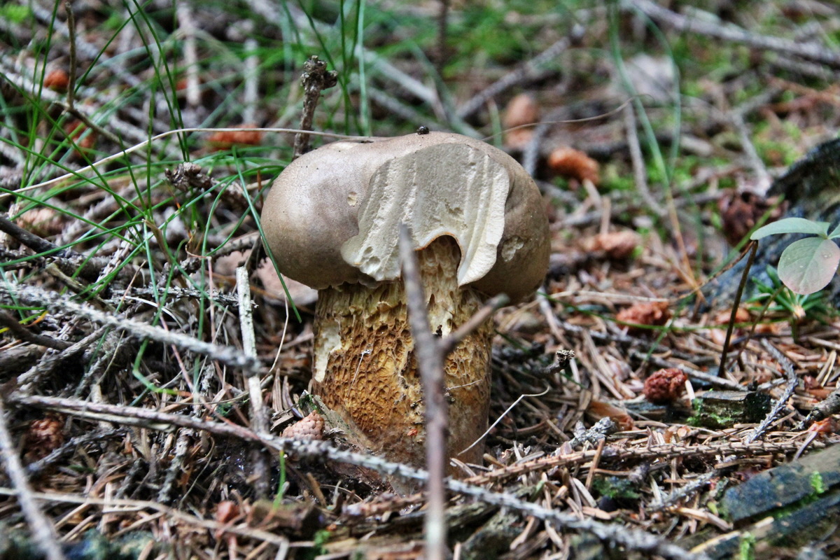 2014_08_19_00049943p_Bildgr��e �ndern