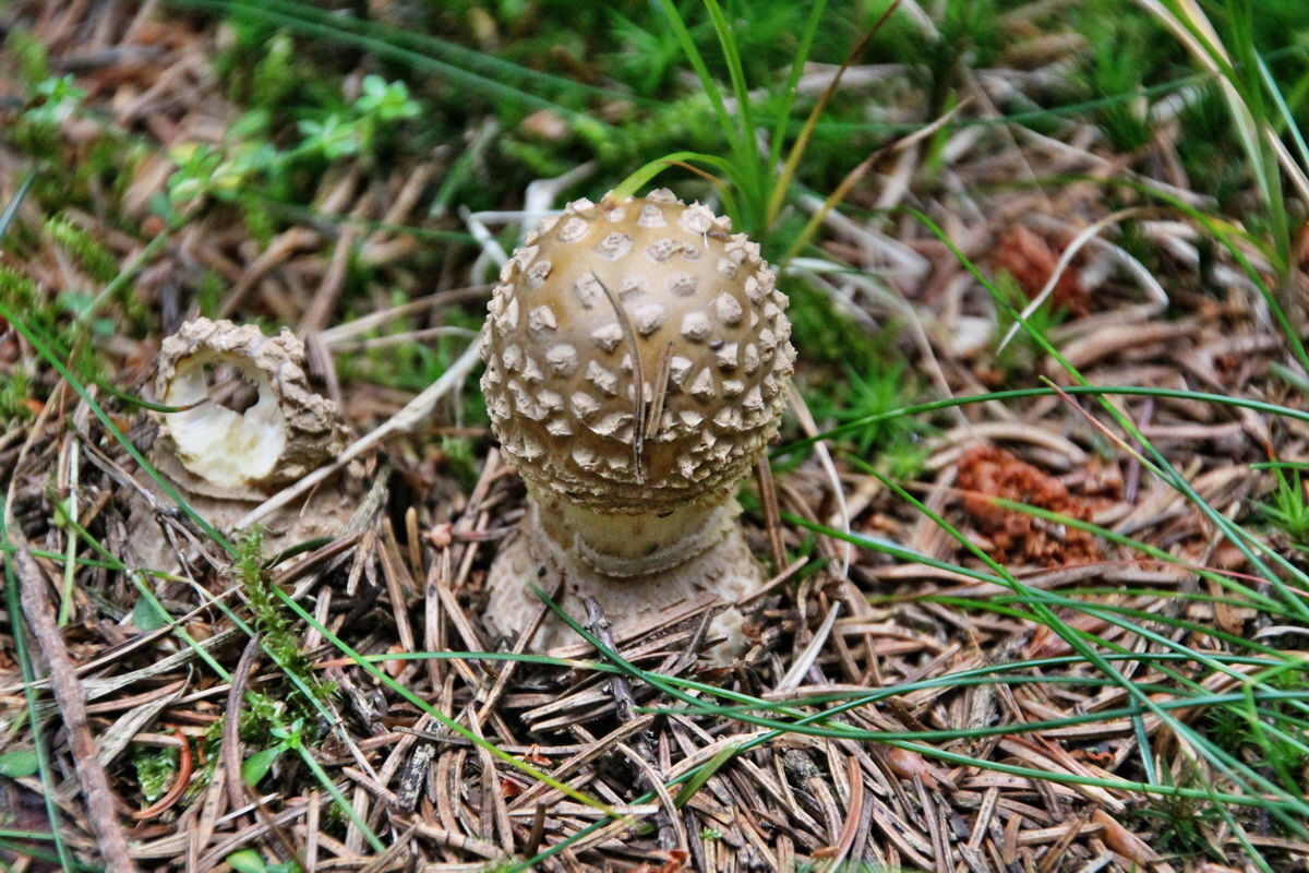 2014_08_19_00049946p_Bildgr��e �ndern