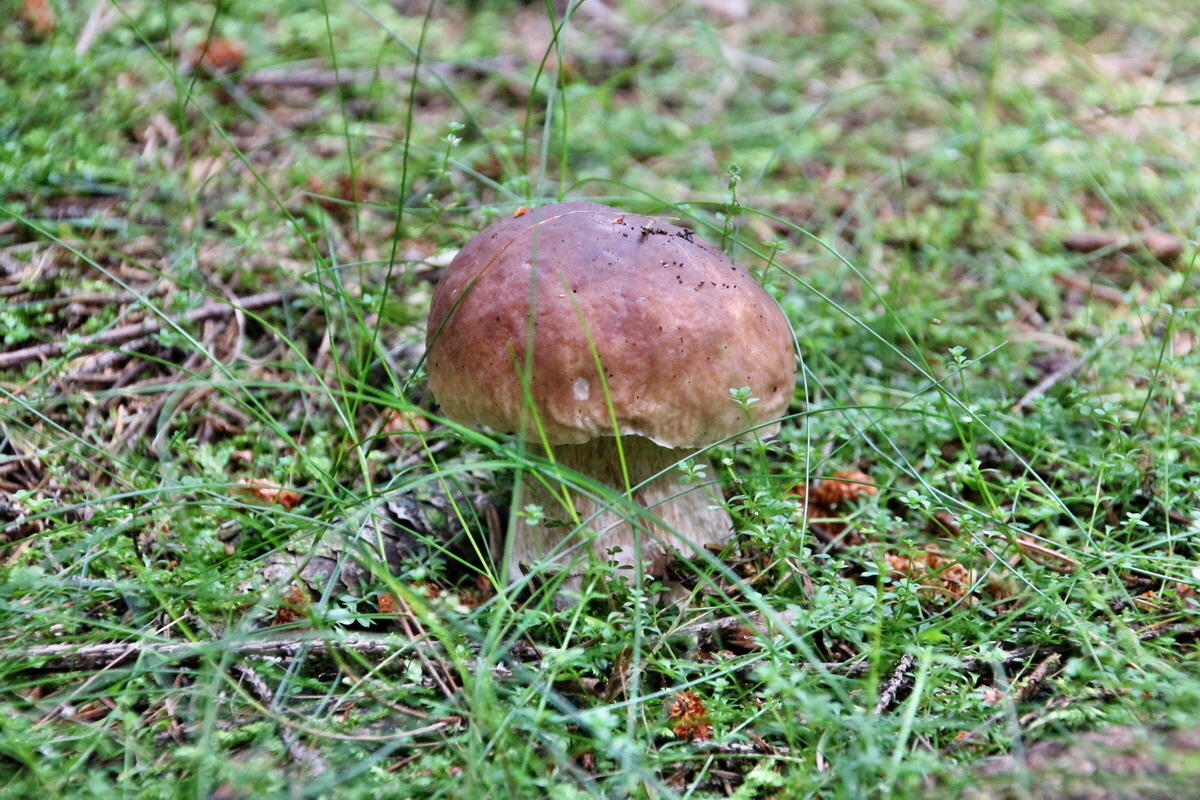 2014_08_19_00049950p_Bildgr��e �ndern