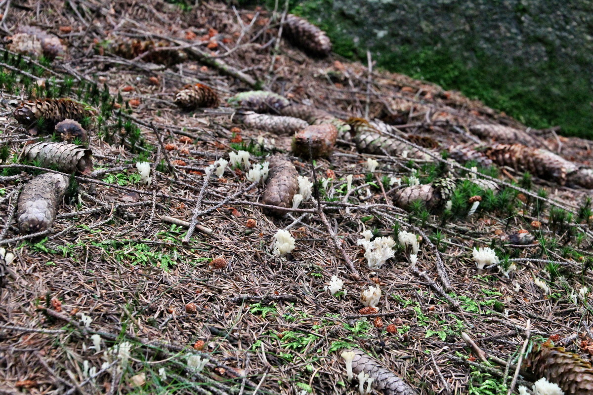 2014_08_19_00049953p_Bildgr��e �ndern