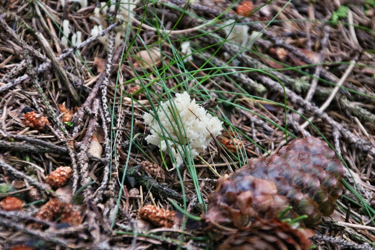 2014_08_19_00049955p_Bildgr��e �ndern