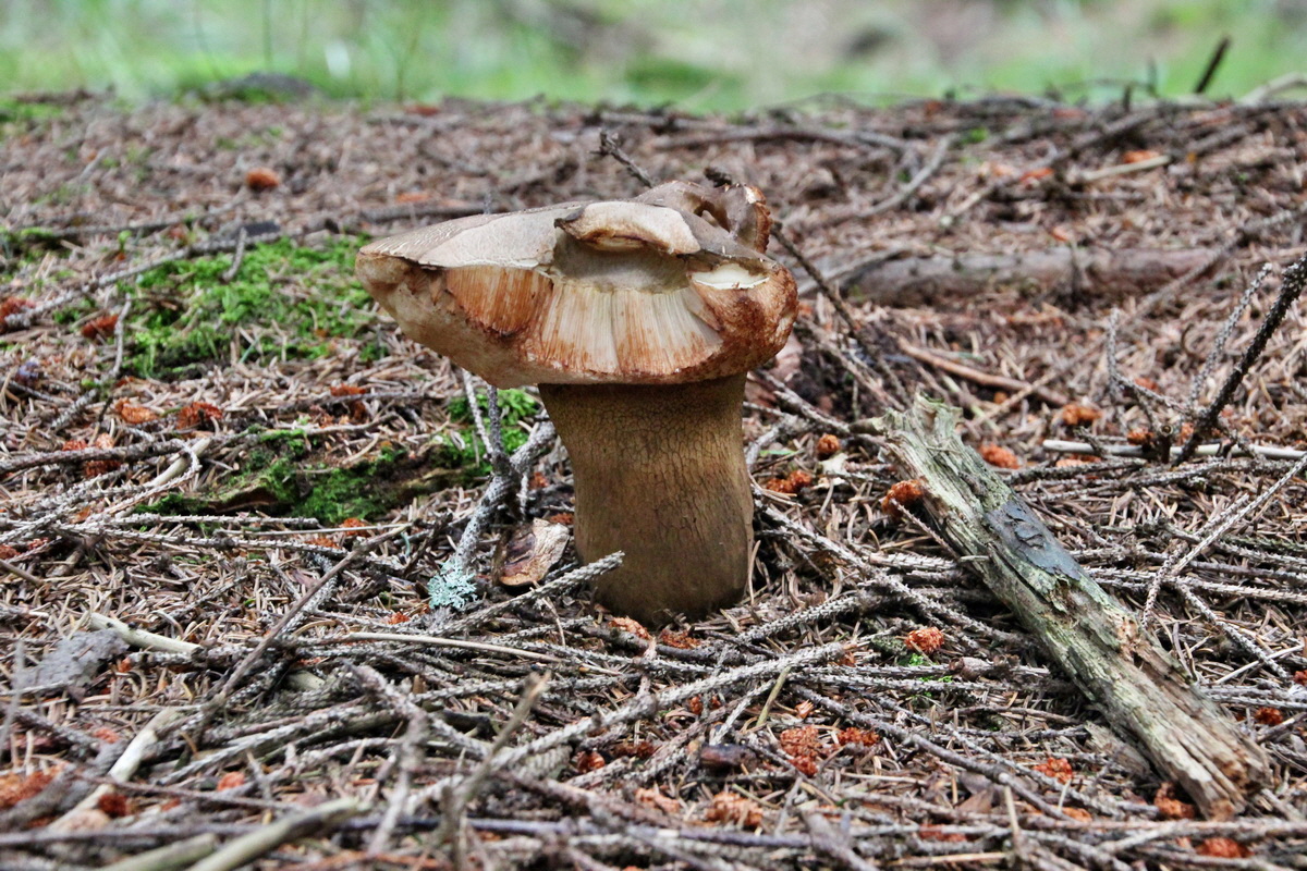 2014_08_19_00049956p_Bildgr��e �ndern