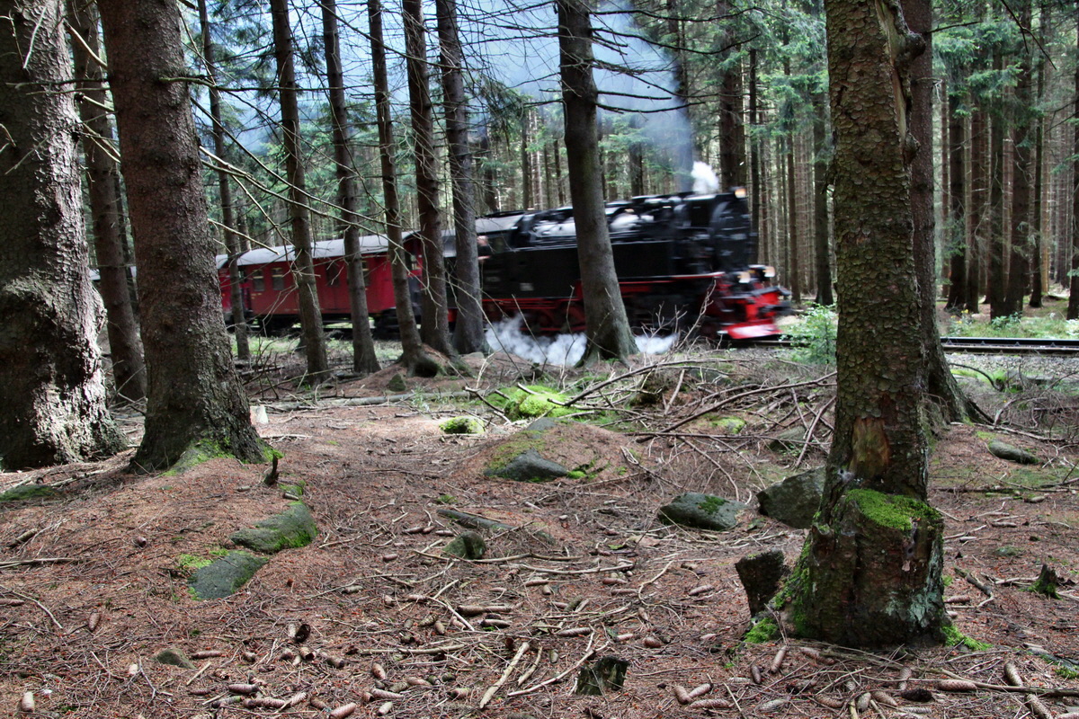 2014_08_19_00049959p_Bildgr��e �ndern