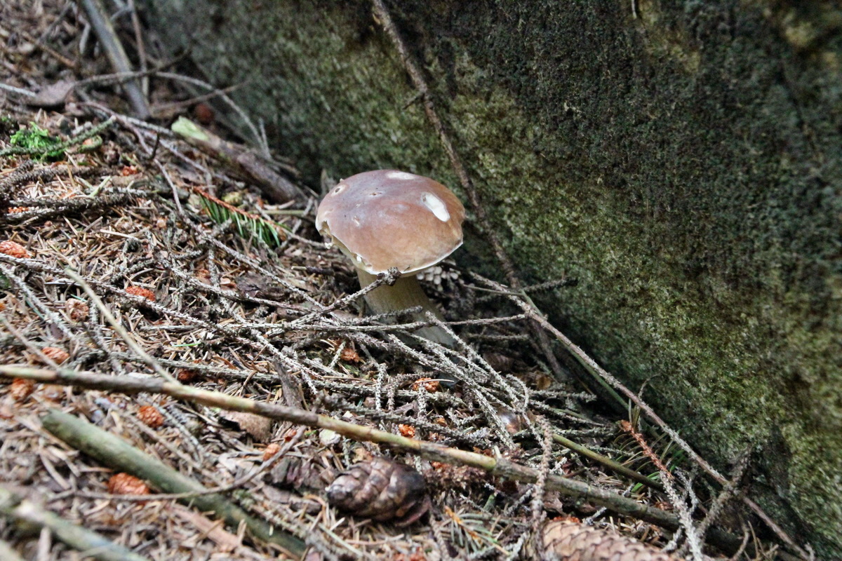 2014_08_19_00049975p_Bildgr��e �ndern