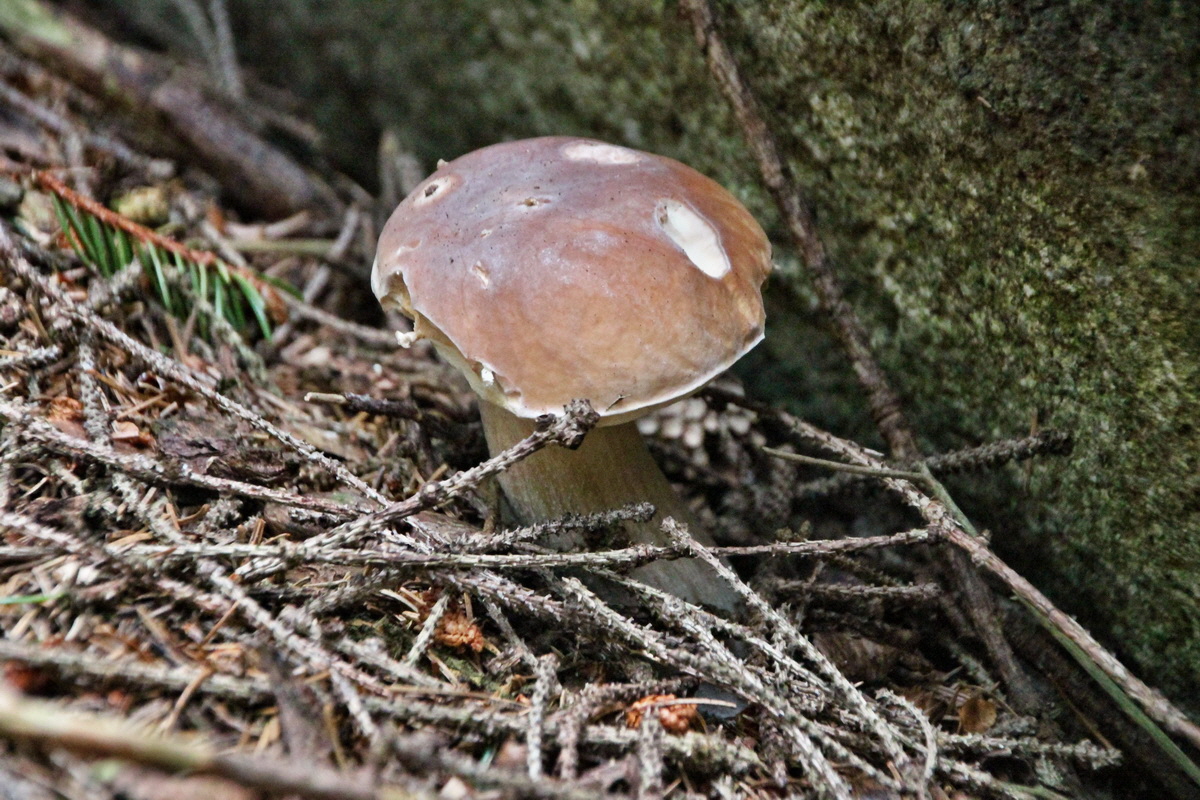 2014_08_19_00049977p_Bildgr��e �ndern