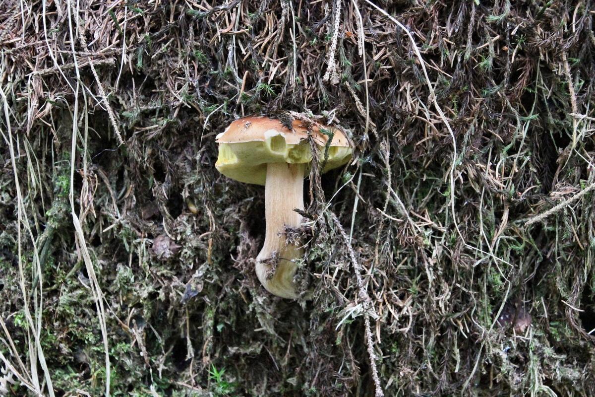 2014_08_19_00049979p_Bildgr��e �ndern