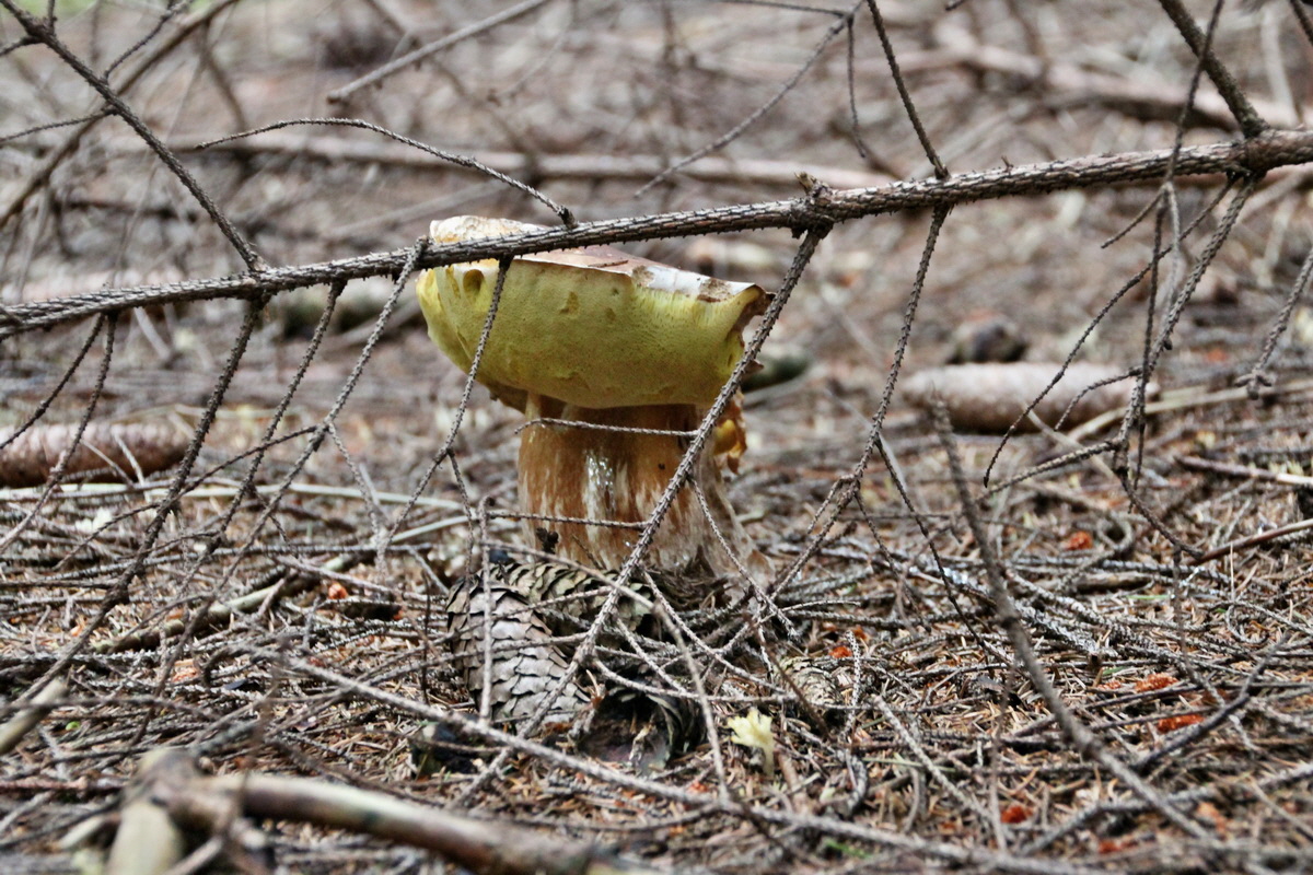 2014_08_19_00050008p_Bildgr��e �ndern