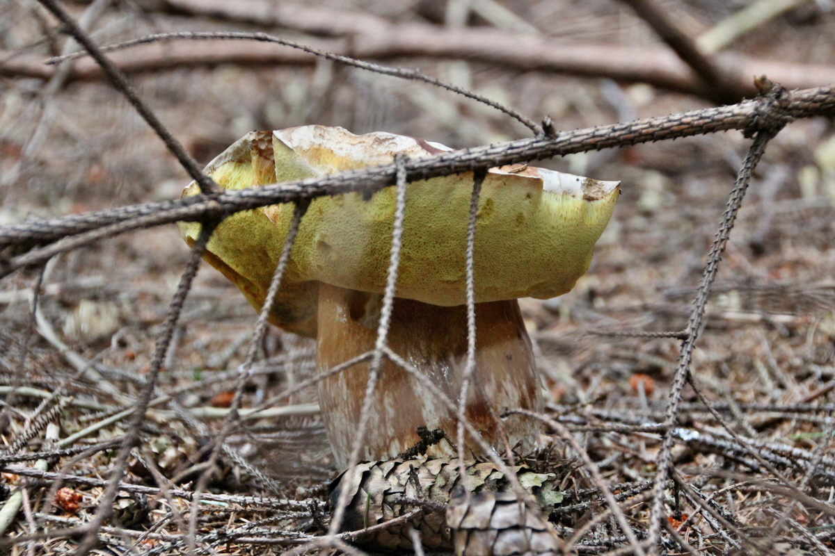 2014_08_19_00050010p_Bildgr��e �ndern