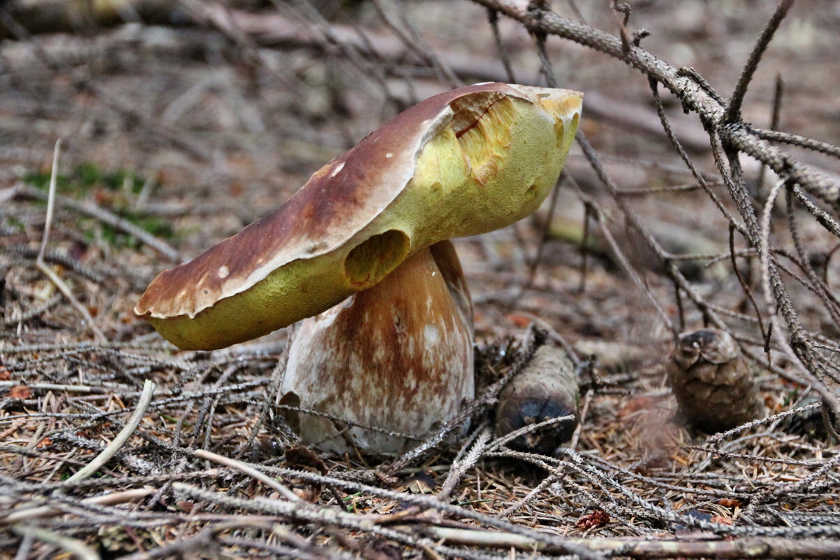 2014_08_19_00050012p_Bildgr��e �ndern