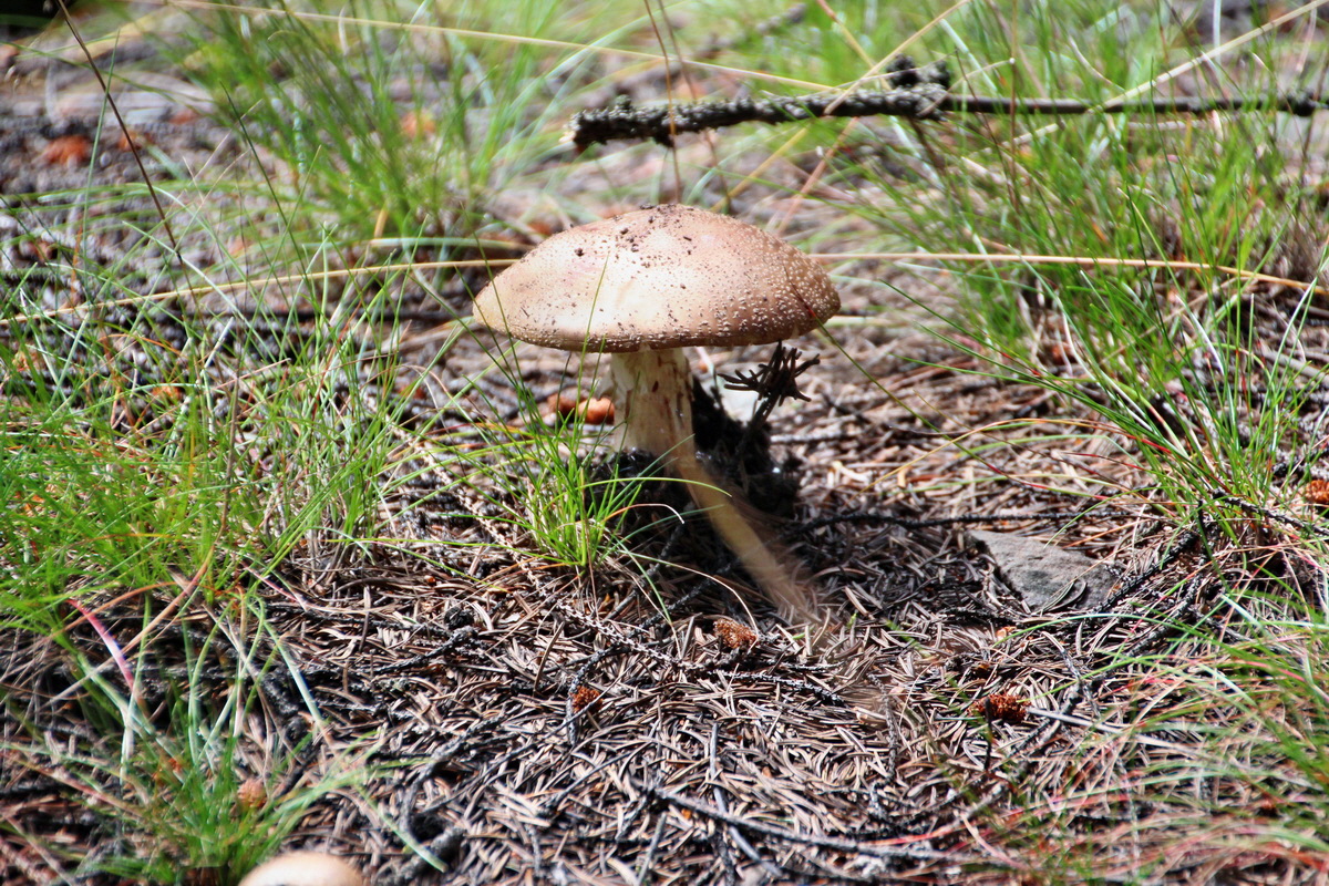 2014_08_19_00050014p_Bildgr��e �ndern