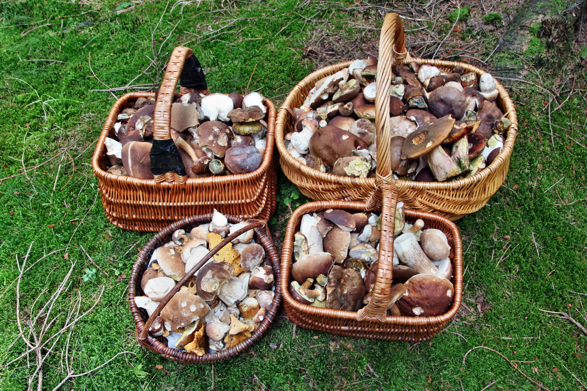 2014_08_19_00050037p_Bildgr��e �ndern