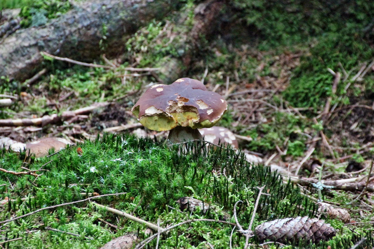 2014_08_19_00050039p_Bildgr��e �ndern