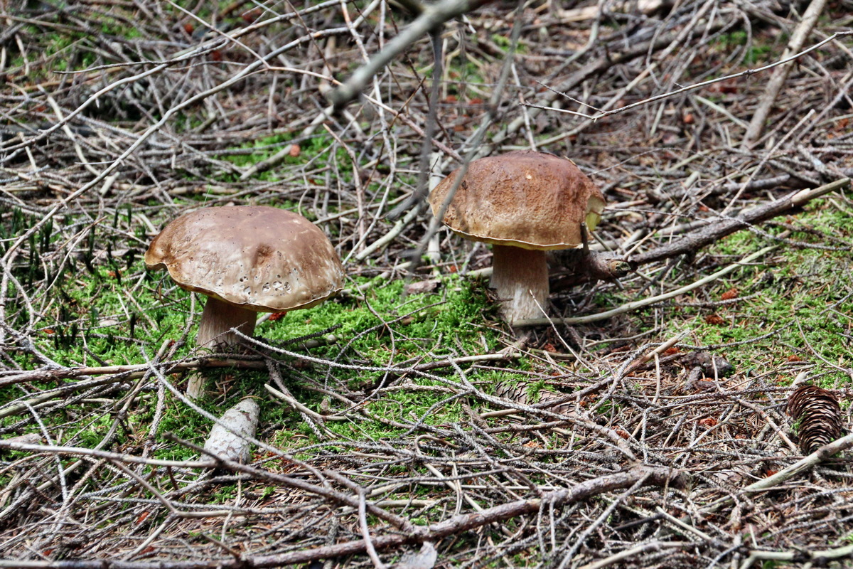 2014_08_19_00050042p_Bildgr��e �ndern