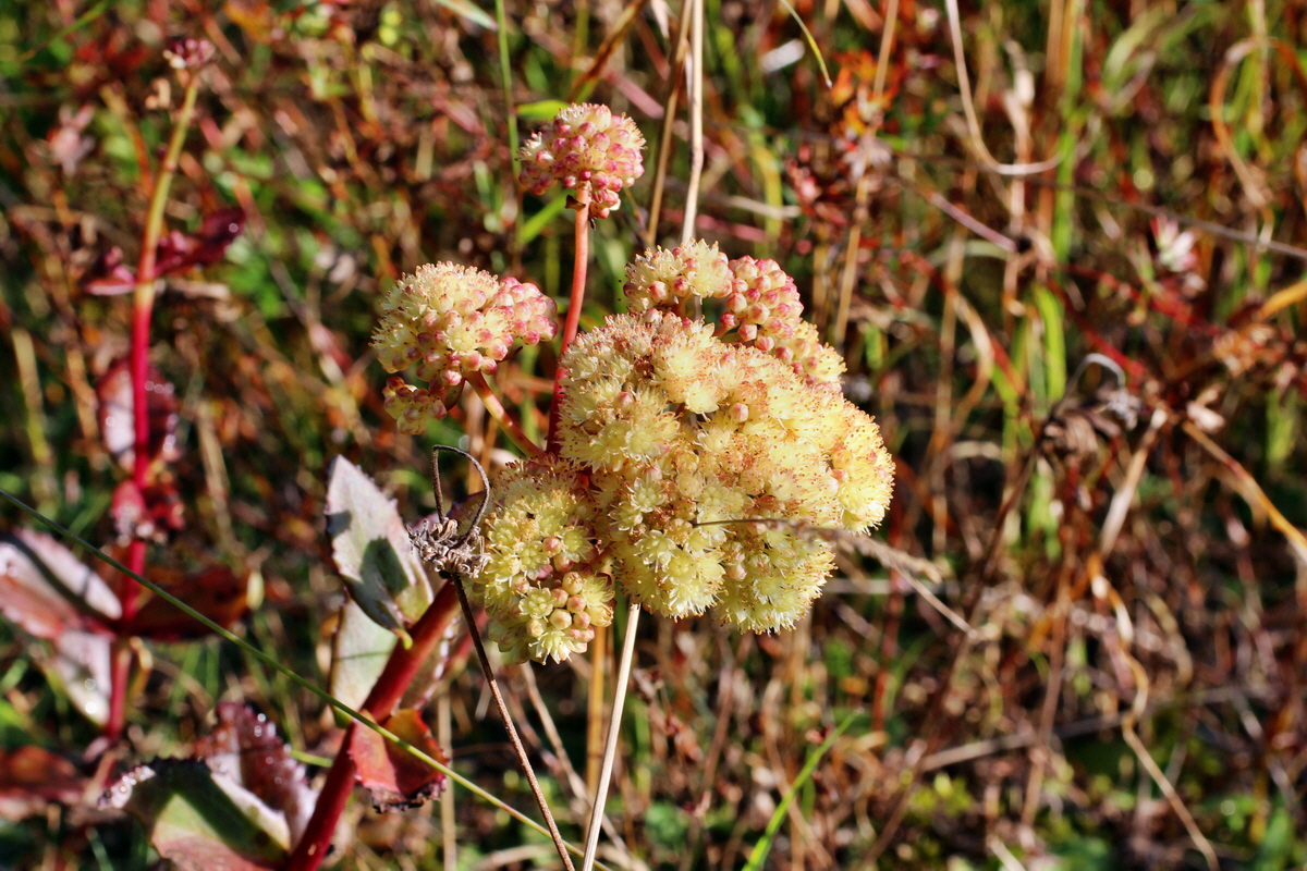 2014_08_25_00050046p_Bildgr��e �ndern