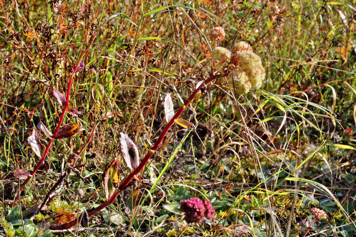 2014_08_25_00050049p_Bildgr��e �ndern