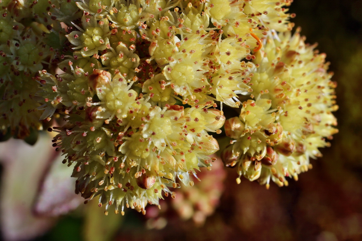 2014_08_25_00050051p_Bildgr��e �ndern