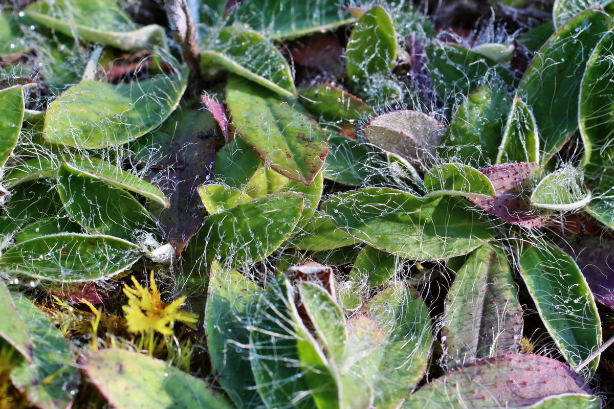 2014_08_25_00050063p_Bildgr��e �ndern