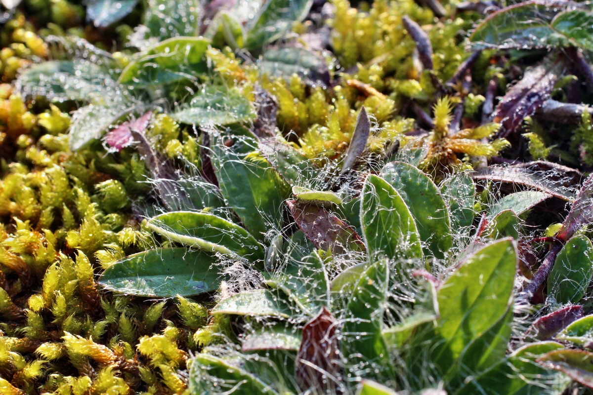 2014_08_25_00050066p_Bildgr��e �ndern