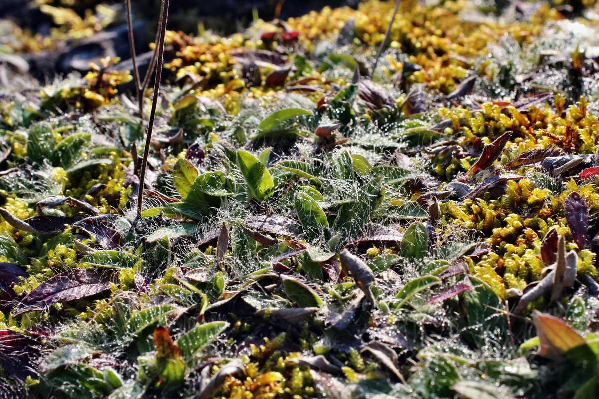 2014_08_25_00050071p_Bildgr��e �ndern