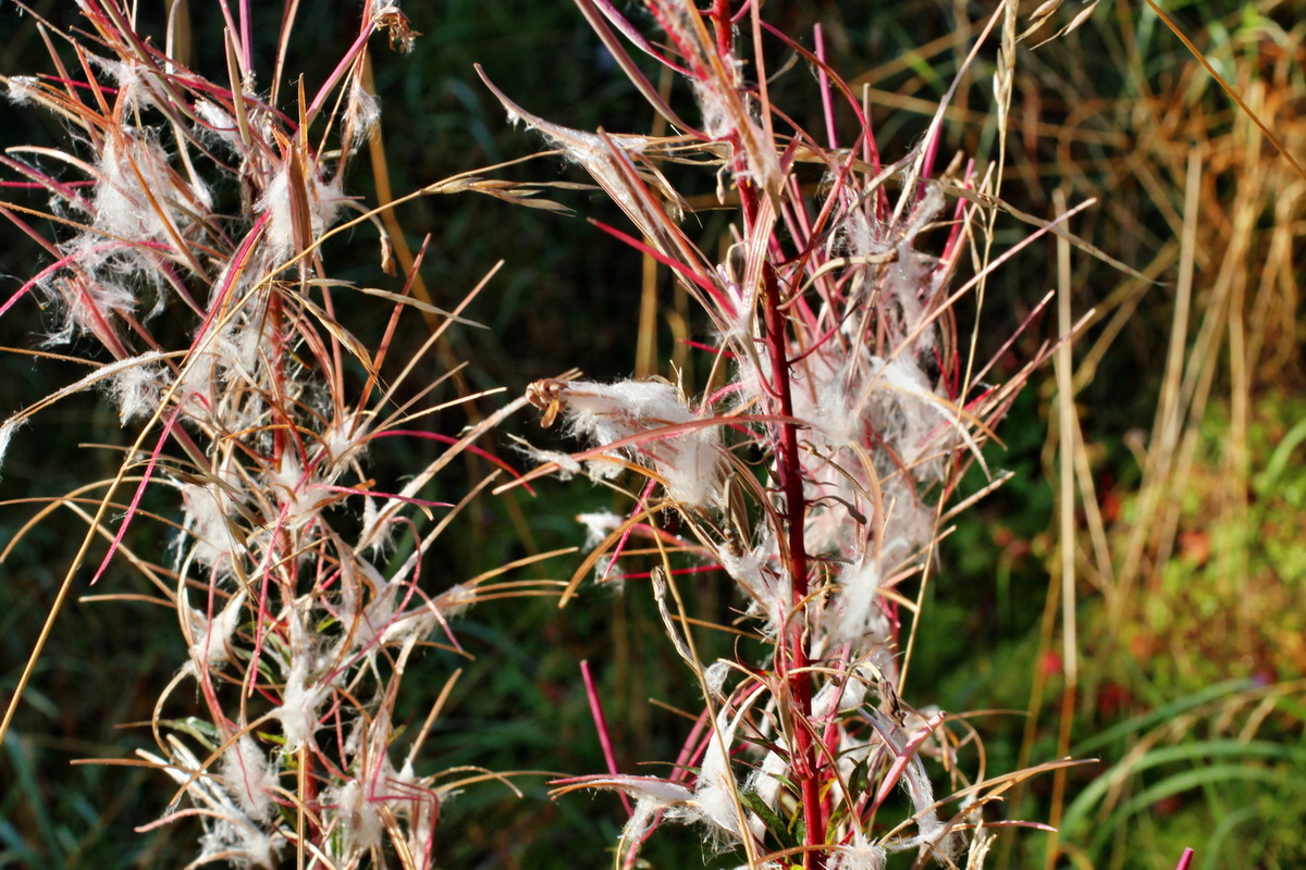 2014_08_25_00050074p_Bildgr��e �ndern