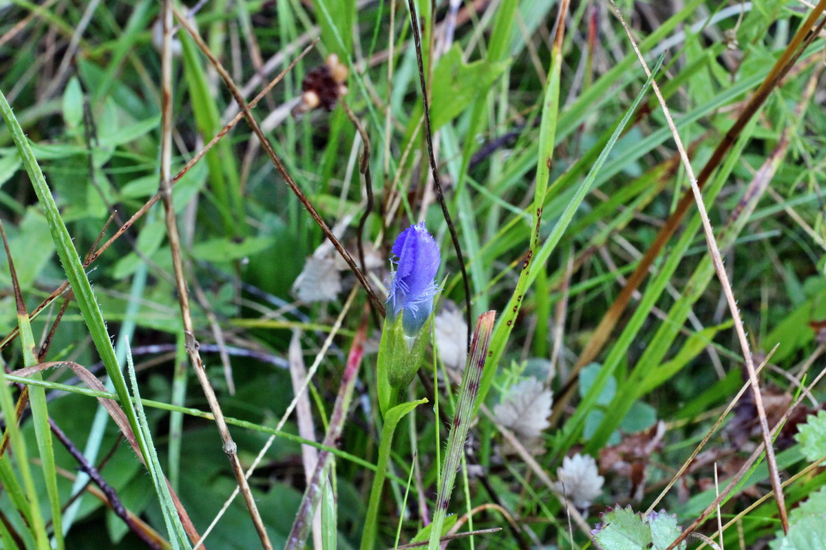 2014_08_25_00050077p_Bildgr��e �ndern