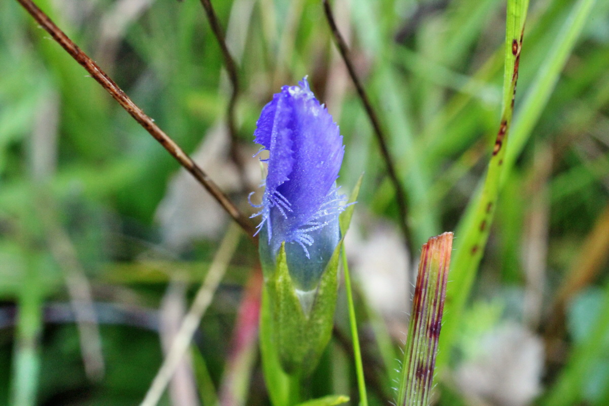 2014_08_25_00050079p_Bildgr��e �ndern