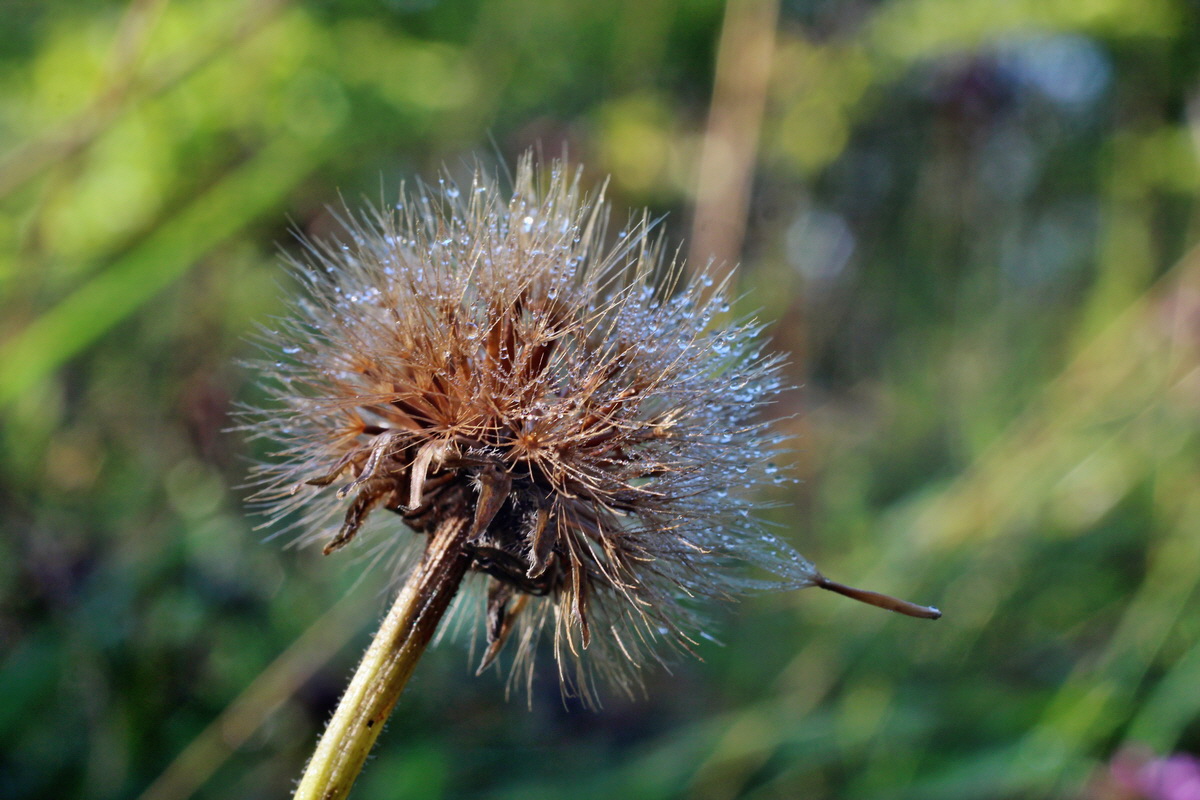 2014_08_25_00050084p_Bildgr��e �ndern